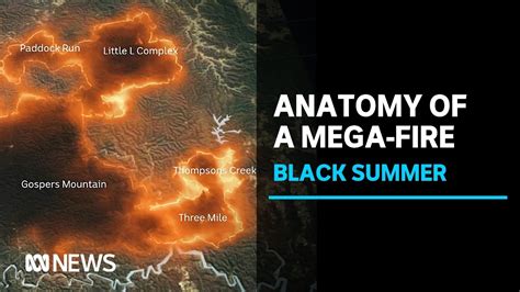 mega fire australia|Inside the Gosper's Mountain mega.
